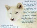 Wolf's Guide