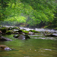 Smokey Mountain Stream