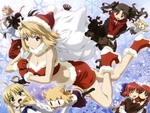 Christmas Type-Moon Beauty