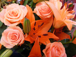 Floral Bouquet in Peach