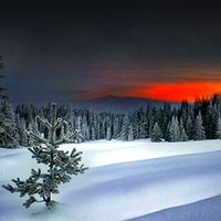 Winter Sunset