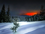 Winter Sunset