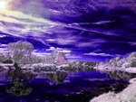 Purple Scenery