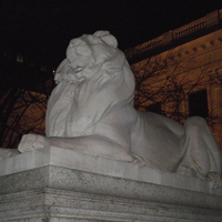 New York Library Lion
