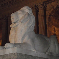 Lion at NYC Library