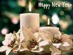 Happy New Year to all my friends,fans and visitors