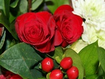 Red Roses