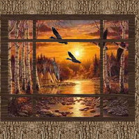 Looking Out at Nature