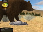 Bears in WolfQuest