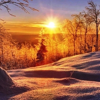 Winter in colors of gold