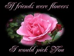 A ROSE FOR MY DN FRIENDS