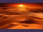 Desert*s Sunset