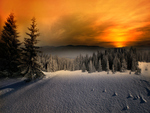 Winter Sunset