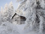 winter cabin