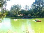 A lake in a pleasure park  in Romania