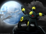 Umbreon under the Moonlight