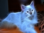 Cat Abstract (HD)