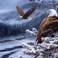 Winter Eagles