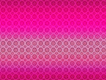 Hot Pink Circles