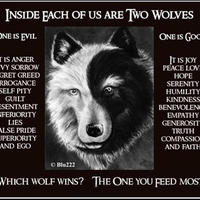 The Good and the Evil