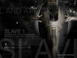 slave 1 specs