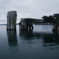 Natures Sculpture II