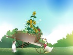 Flowery Wheelbarrow
