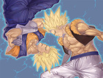Vegeto & Gogeta