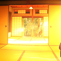 Waiting in the Sunshine