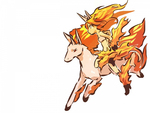 Rapidash