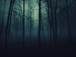 gothic forest