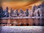 Lakeside Winter