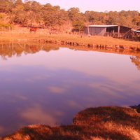 IMPRESIONANTE JAGUEY, RANCHO EL PARAISO, MPIO VILLAFLORES, CHIAPAS, MEXICO