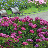 Pretty place to rest