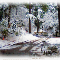 Snow in my little Texas town