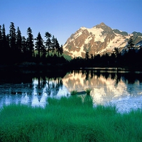 River Deep Mountain High.