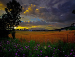 Scenic-Country-Farm-Evening View