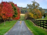 Bucolic scene in rural North Virginia.