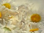 Angel among the Flowers