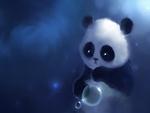 Baby Panda