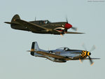 P40 Warhawk and P51 Mustang