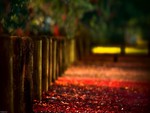 Red Carpet Bridge