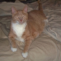 "I'm a Good Boy Mom!"