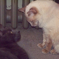 The calm before the storm.