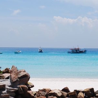 Serenity of a Tropical Island