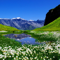 Beautiful lake in spring