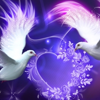 Valentine Purple Doves