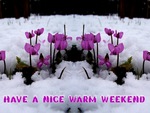 Have  a nice warm weekend