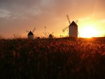 windmills at sunset