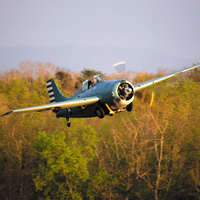F4F Wildcat